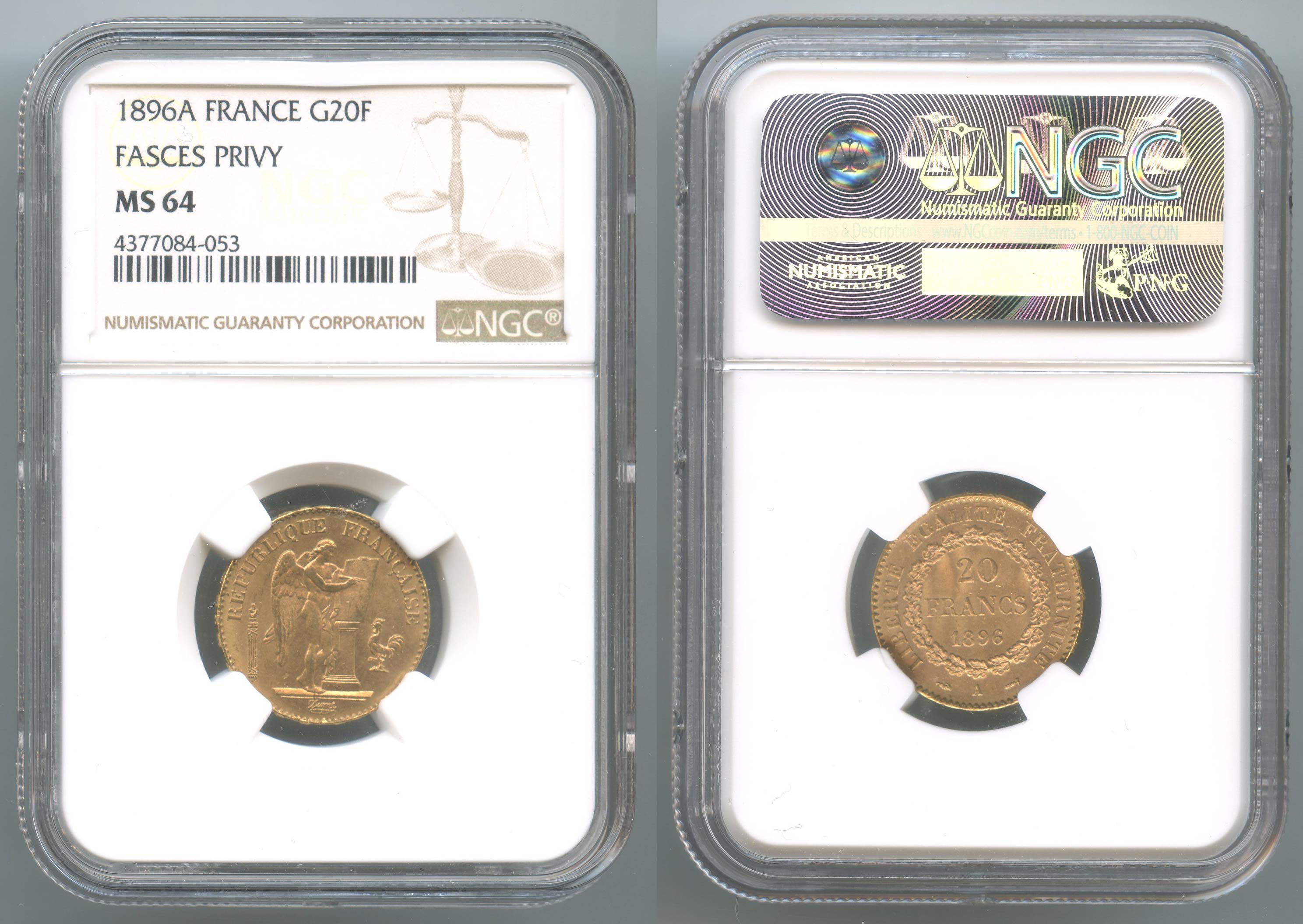 FRANCIA, Terza Repubblica (1870-1940) 20 Francs 1896 A