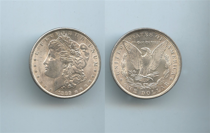 USA, Morgan Dollar 1889 - Clicca l'immagine per chiudere