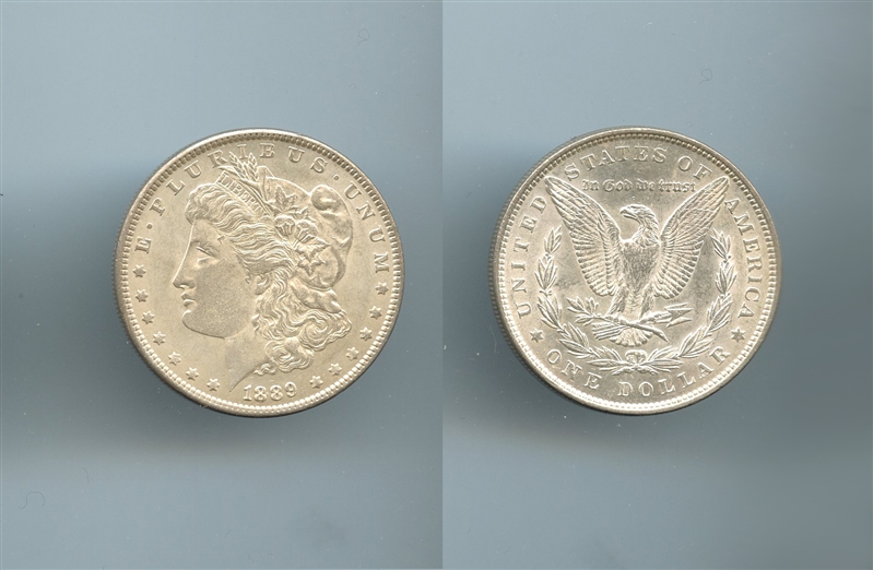 USA, Morgan Dollar 1889 - Clicca l'immagine per chiudere