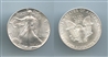 USA, Silver Eagle Dollar 1987